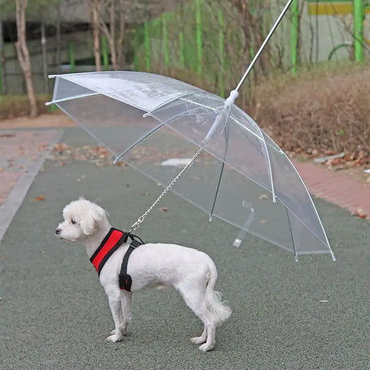 Puddle Paws Leash Umbrella