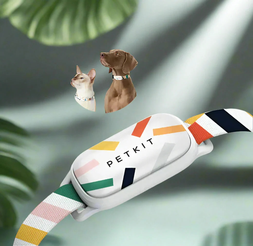 PetKit Wellness Tracker