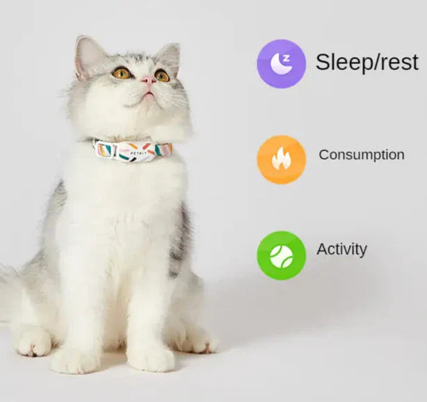 PetKit Wellness Tracker