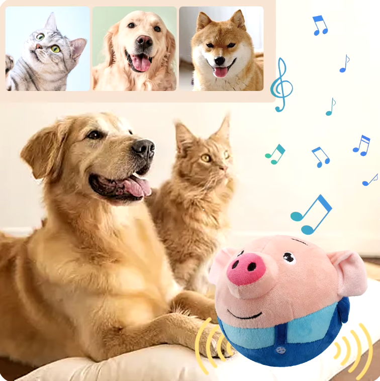 Porky Pal Interactive Piggy Toy