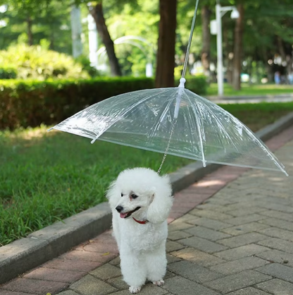 Puddle Paws Leash Umbrella