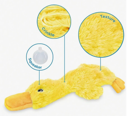 Quackle Duck Toy