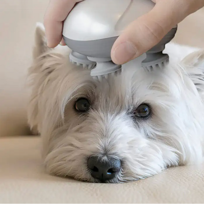 Relaxi-Pet Electric Massager